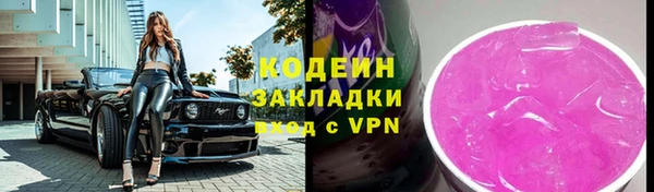 прущие грибы Вяземский