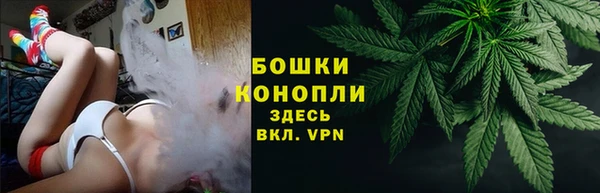 шишки Волосово