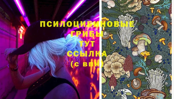 эйфоретик Вязники