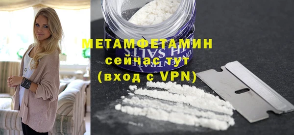 прущие грибы Вяземский