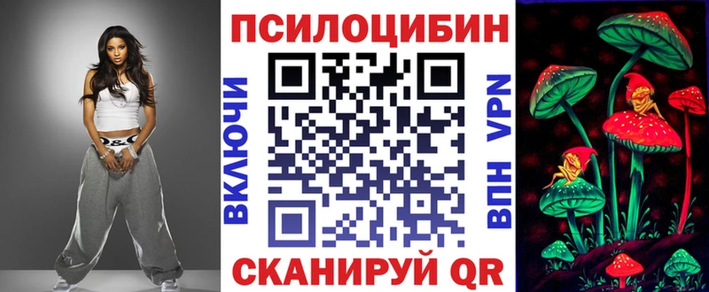 как найти закладки  Зверево  Псилоцибиновые грибы прущие грибы 